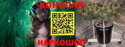jwh Ставрополь