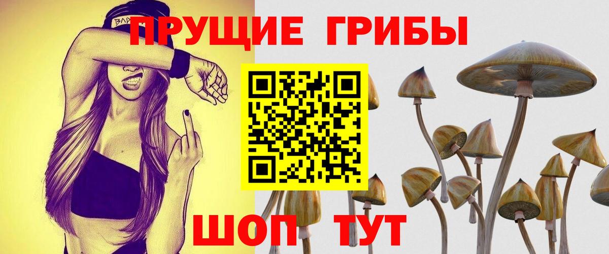 Псилоцибиновые грибы Magic Shrooms  Вход с VPN  Нурлат 