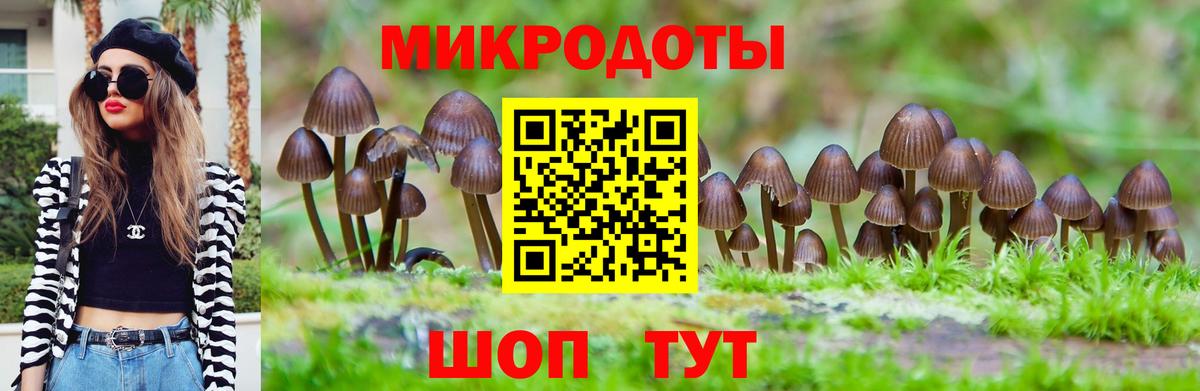 Псилоцибиновые грибы Magic Shrooms Нурлат